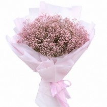 Large bouquet of pink gypsophila